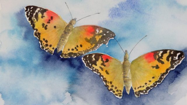 Tistelfjärilar