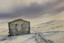 Anders-Bertils boa