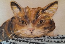 Katt