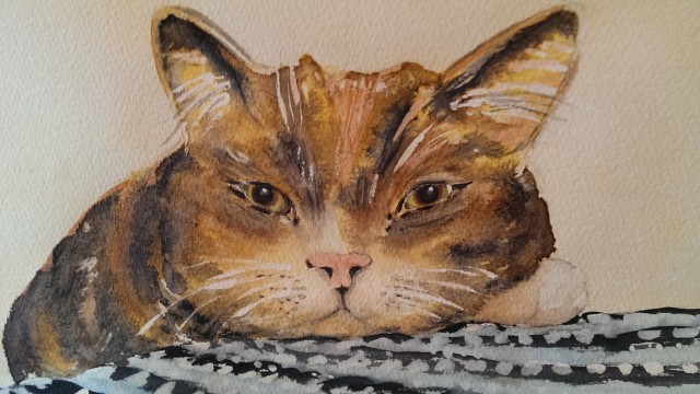 Katt