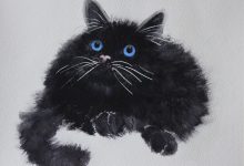 Katt med blå ögon