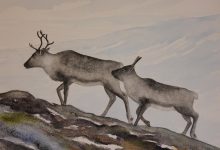 Mot fjället