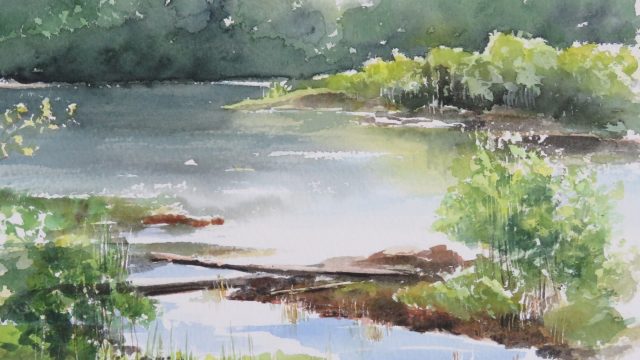 Sommarkväll vid Ljungan